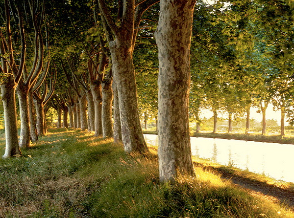 Canal du Midi 30