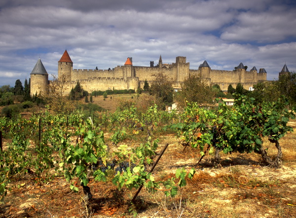 Carcassonne 15