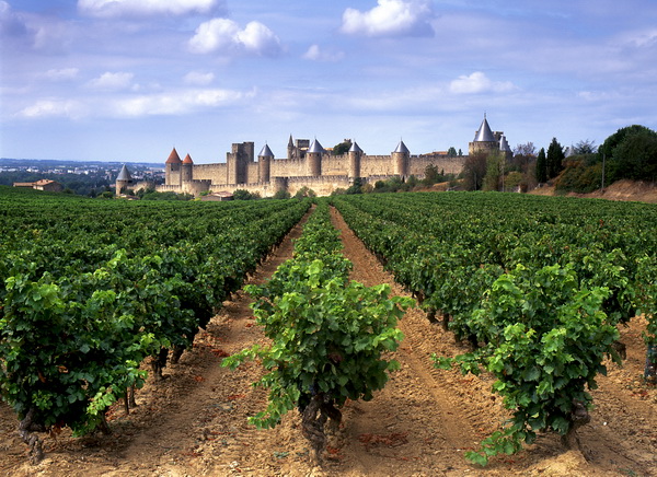 Carcassonne 21