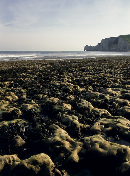 Etretat 12