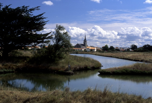 L'Ile d'Olonne, marais 05