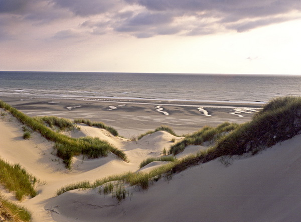 Dunes du Marquenterre 03