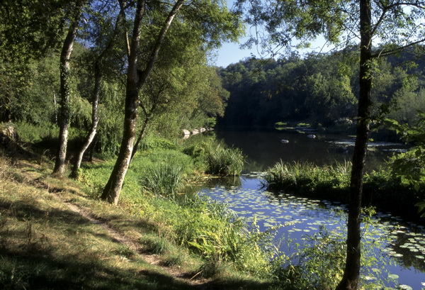 La S?vre Nantaise ? Rousselin 01