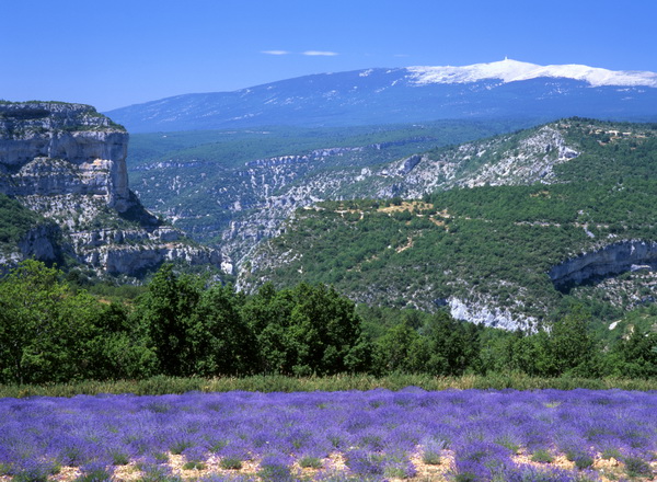 Gorges de la Nesque 08